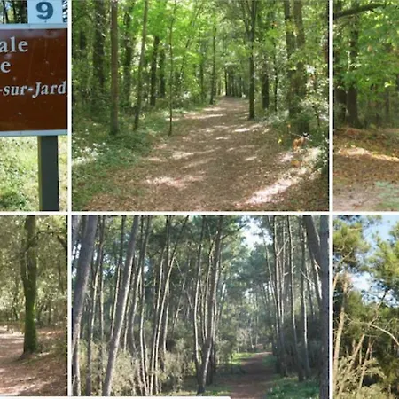 Les Terrasses De Bella Vista - Belle Maison Bord De