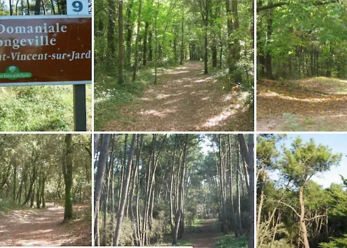 Les Terrasses De Bella Vista - Belle Maison Bord De